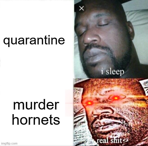 As if corona time was already bad | quarantine; murder hornets | image tagged in memes,sleeping shaq | made w/ Imgflip meme maker