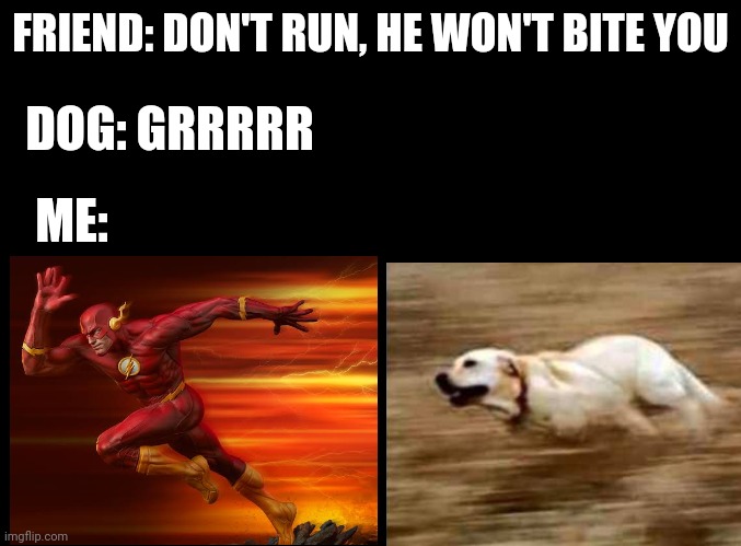 Funny meme | FRIEND: DON'T RUN, HE WON'T BITE YOU; DOG: GRRRRR; ME: | image tagged in imgflip | made w/ Imgflip meme maker