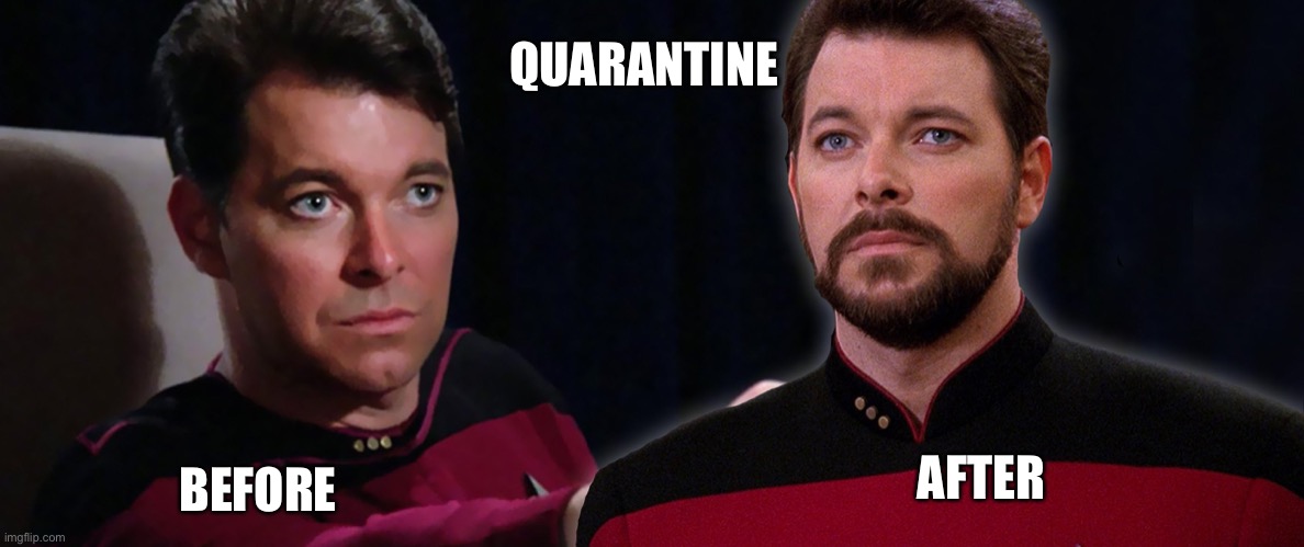 Quarantine | QUARANTINE; AFTER; BEFORE | image tagged in riker | made w/ Imgflip meme maker