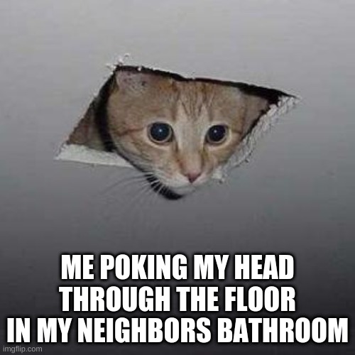 Ceiling Cat | ME POKING MY HEAD THROUGH THE FLOOR IN MY NEIGHBORS BATHROOM | image tagged in memes,ceiling cat | made w/ Imgflip meme maker