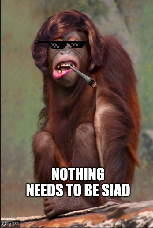 Monkey meme | NOTHING NEEDS TO BE SIAD | image tagged in gangster | made w/ Imgflip meme maker