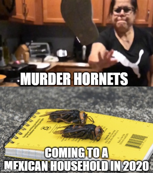 Mexican Moms | MURDER HORNETS; COMING TO A MEXICAN HOUSEHOLD IN 2020 | image tagged in murder hornets | made w/ Imgflip meme maker