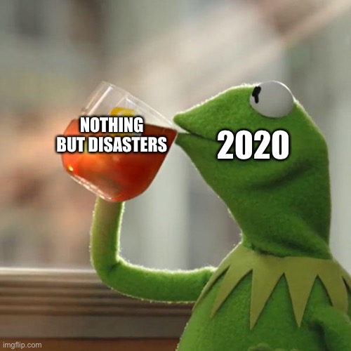 What a year | NOTHING BUT DISASTERS; 2020 | image tagged in memes,but that's none of my business,kermit the frog | made w/ Imgflip meme maker