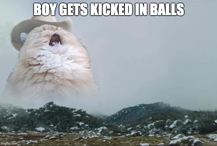 oof |  BOY GETS KICKED IN BALLS | image tagged in screaming cowboy cat | made w/ Imgflip meme maker