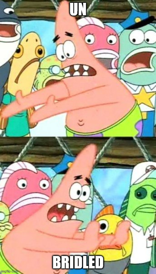 Put It Somewhere Else Patrick | UN; BRIDLED | made w/ Imgflip meme maker