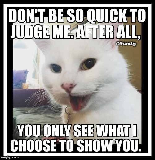 Judge | 𝓒𝓱𝓲𝓪𝓷𝓽𝔂 | image tagged in just stop | made w/ Imgflip meme maker