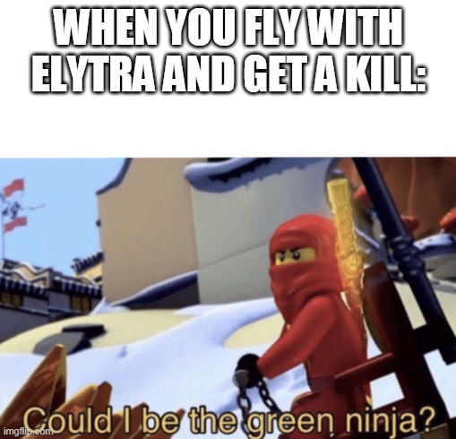 Could I Be The Green Ninja? | WHEN YOU FLY WITH ELYTRA AND GET A KILL: | image tagged in could i be the green ninja | made w/ Imgflip meme maker