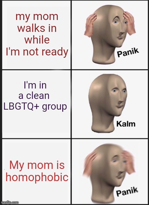 fudge my mother | my mom walks in while I'm not ready; I'm in a clean  LBGTQ+ group; My mom is homophobic | image tagged in memes,panik kalm panik | made w/ Imgflip meme maker