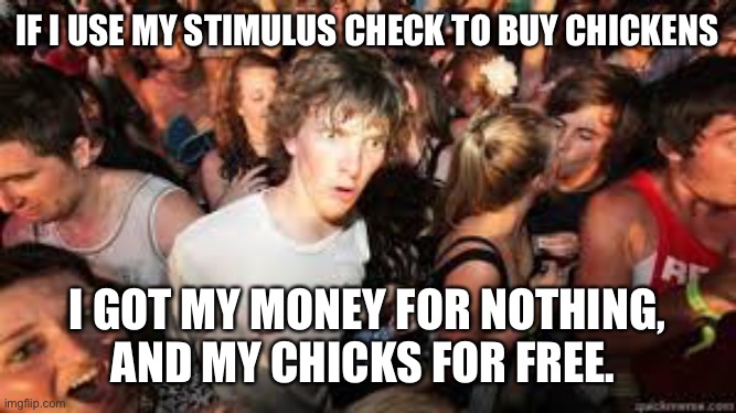 Suddenly realized | IF I USE MY STIMULUS CHECK TO BUY CHICKENS; I GOT MY MONEY FOR NOTHING, AND MY CHICKS FOR FREE. | image tagged in suddenly realized | made w/ Imgflip meme maker