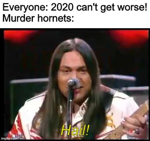 Because 2020 | Everyone: 2020 can't get worse!
Murder hornets:; Hail! | image tagged in murder,murder hornet,hail,funny,memes,fun | made w/ Imgflip meme maker