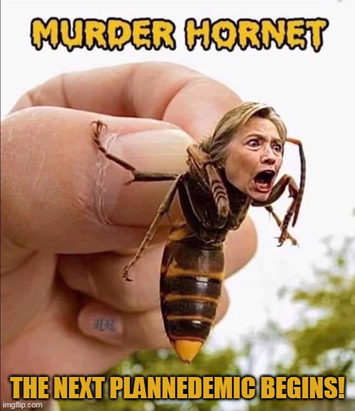 Attack of the Killer Beeches | THE NEXT PLANNEDEMIC BEGINS! | image tagged in memes,pandemic,hillary clinton,murder hornet,murder hornets,coronavirus | made w/ Imgflip meme maker