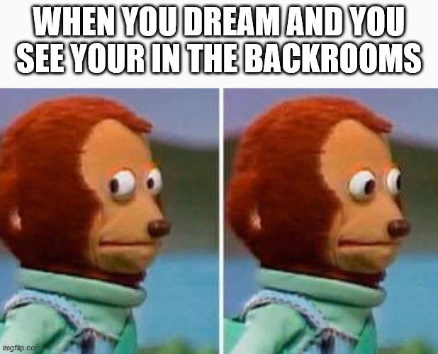 Scared Monkey | WHEN YOU DREAM AND YOU SEE YOUR IN THE BACKROOMS | image tagged in scared monkey,backrooms | made w/ Imgflip meme maker