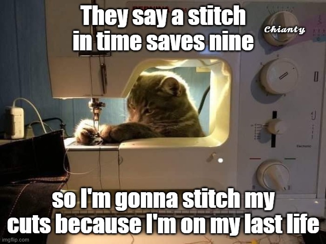 Stitch | They say a stitch in time saves nine; 𝓒𝓱𝓲𝓪𝓷𝓽𝔂; so I'm gonna stitch my cuts because I'm on my last life | image tagged in when life gives you lemons x | made w/ Imgflip meme maker