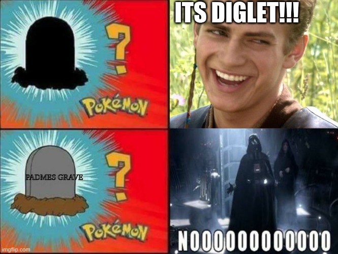 What is that? | ITS DIGLET!!! PADMES GRAVE | image tagged in diglett | made w/ Imgflip meme maker