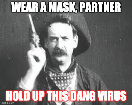 THE GREAT BRAIN ROBBERY - DON'T BE STUPID | WEAR A MASK, PARTNER; HOLD UP THIS DANG VIRUS | image tagged in wear a mask,new york city,coronavirus,corona virus,corona,coronavirus meme | made w/ Imgflip meme maker