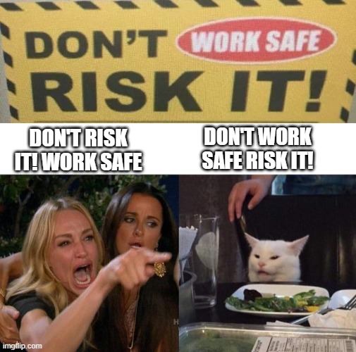 Don't Work Safe - Risk It! | DON'T WORK SAFE RISK IT! DON'T RISK IT! WORK SAFE | image tagged in memes,woman yelling at cat | made w/ Imgflip meme maker