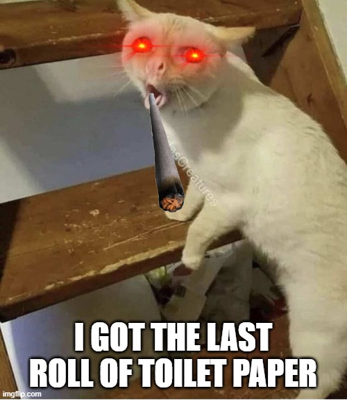 HAPPY CAT | I GOT THE LAST ROLL OF TOILET PAPER | image tagged in grumpy cat | made w/ Imgflip meme maker