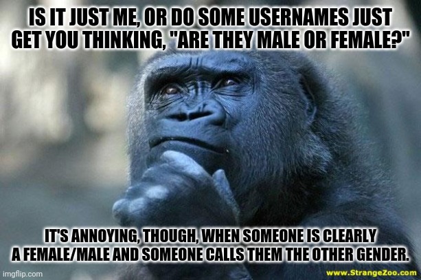 Deep Thoughts | IS IT JUST ME, OR DO SOME USERNAMES JUST GET YOU THINKING, "ARE THEY MALE OR FEMALE?"; IT'S ANNOYING, THOUGH, WHEN SOMEONE IS CLEARLY A FEMALE/MALE AND SOMEONE CALLS THEM THE OTHER GENDER. | image tagged in deep thoughts | made w/ Imgflip meme maker