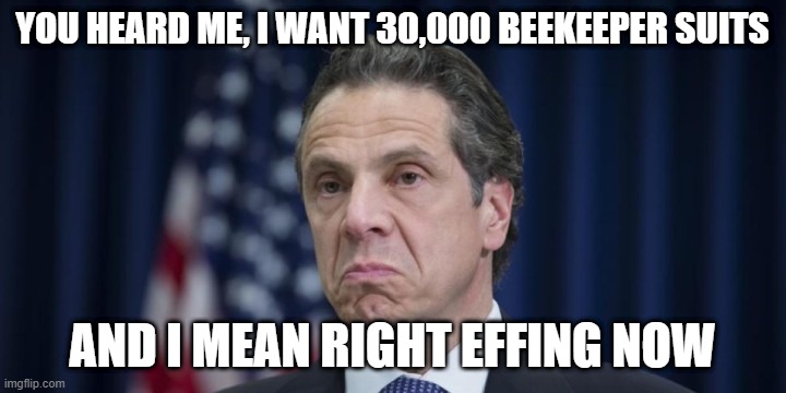 Andrew Cuomo | YOU HEARD ME, I WANT 30,000 BEEKEEPER SUITS; AND I MEAN RIGHT EFFING NOW | image tagged in andrew cuomo | made w/ Imgflip meme maker