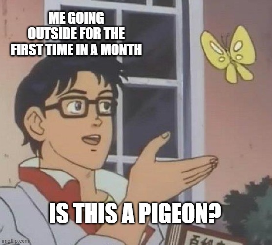 Is This A Pigeon Meme | ME GOING OUTSIDE FOR THE FIRST TIME IN A MONTH; IS THIS A PIGEON? | image tagged in memes,is this a pigeon | made w/ Imgflip meme maker
