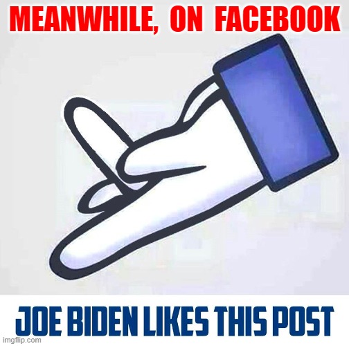 #MeToo is dead | MEANWHILE,  ON  FACEBOOK | image tagged in biden,trump,election 2020 | made w/ Imgflip meme maker