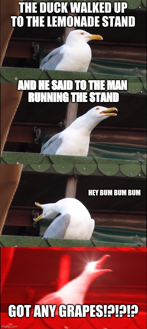 Inhaling Seagull | THE DUCK WALKED UP TO THE LEMONADE STAND; AND HE SAID TO THE MAN 
RUNNING THE STAND; HEY BUM BUM BUM; GOT ANY GRAPES!?!?!? | image tagged in memes,inhaling seagull | made w/ Imgflip meme maker
