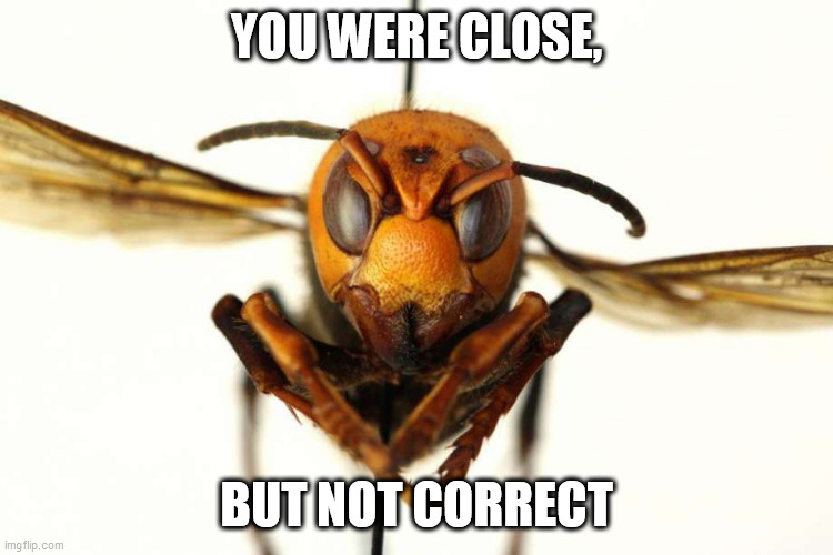 YOU WERE CLOSE, BUT NOT CORRECT | made w/ Imgflip meme maker