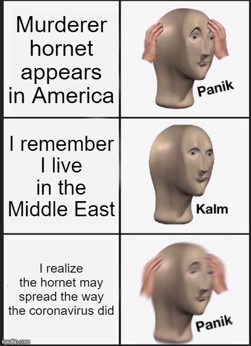 Panik Kalm Panik Meme | Murderer hornet appears in America; I remember I live in the Middle East; I realize the hornet may spread the way the coronavirus did | image tagged in memes,panik kalm panik | made w/ Imgflip meme maker