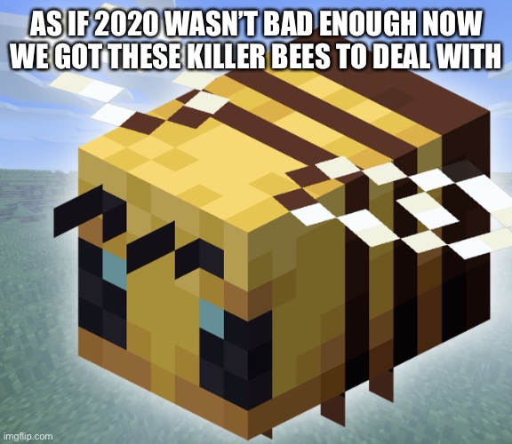 KILLER BEE | AS IF 2020 WASN’T BAD ENOUGH NOW WE GOT THESE KILLER BEES TO DEAL WITH | image tagged in killer bee | made w/ Imgflip meme maker