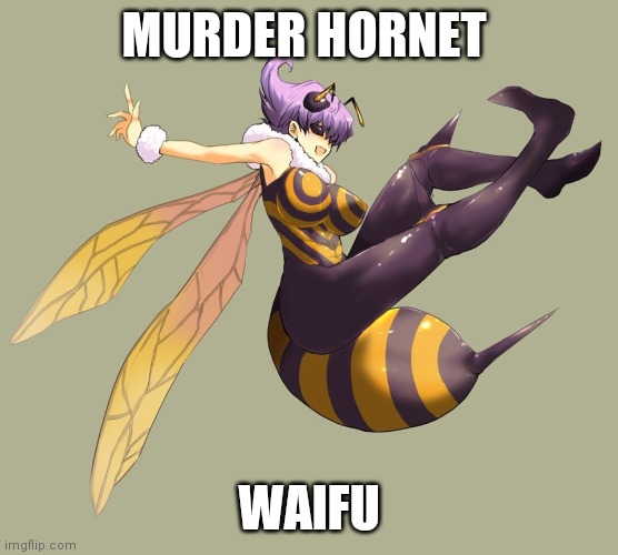 Murder hornet waifu | MURDER HORNET; WAIFU | image tagged in video games,murder hornet,waifu | made w/ Imgflip meme maker