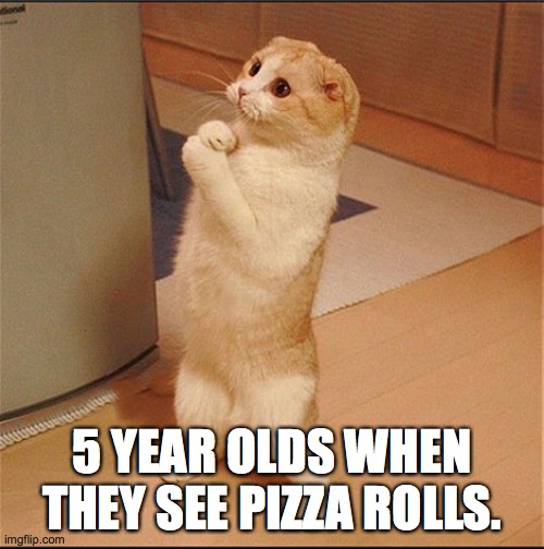 Can I Has Food | 5 YEAR OLDS WHEN THEY SEE PIZZA ROLLS. | image tagged in can i has food | made w/ Imgflip meme maker