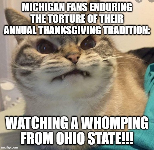 Depressed Cat that's a Michigan Fan | MICHIGAN FANS ENDURING THE TORTURE OF THEIR ANNUAL THANKSGIVING TRADITION:; WATCHING A WHOMPING FROM OHIO STATE!!! | image tagged in college football,michigan sucks,michigan football,mad cat,ohio state buckeyes | made w/ Imgflip meme maker