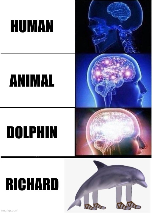 Richard the dolphin is smortest | HUMAN; ANIMAL; DOLPHIN; RICHARD | image tagged in memes,expanding brain | made w/ Imgflip meme maker