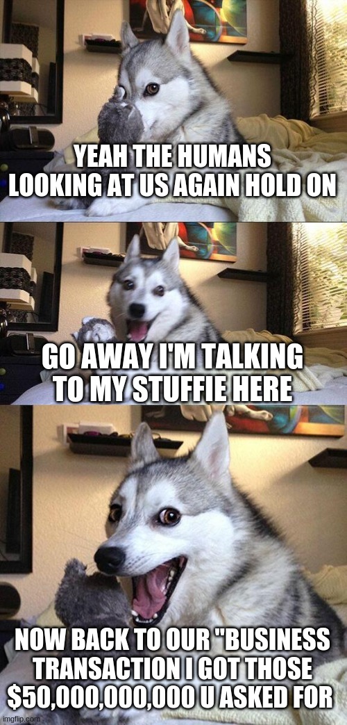 Bad Pun Dog | YEAH THE HUMANS LOOKING AT US AGAIN HOLD ON; GO AWAY I'M TALKING TO MY STUFFIE HERE; NOW BACK TO OUR "BUSINESS TRANSACTION I GOT THOSE $50,000,000,000 U ASKED FOR | image tagged in memes,bad pun dog | made w/ Imgflip meme maker