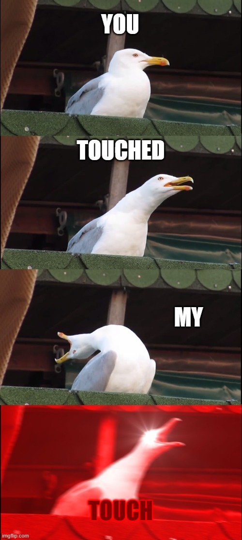 this is now what im doing for a living | YOU; TOUCHED; MY; TOUCH | image tagged in memes,inhaling seagull,confusing | made w/ Imgflip meme maker