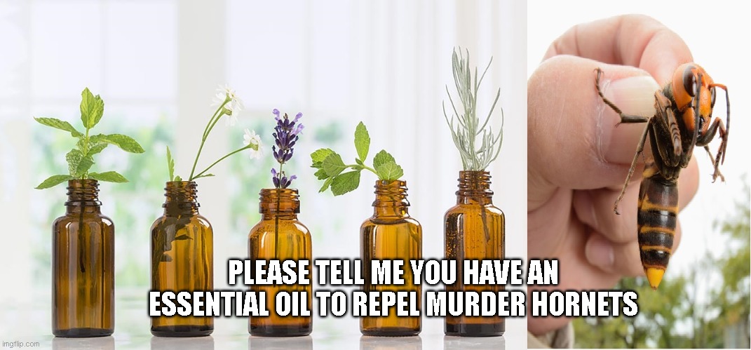 PLEASE TELL ME YOU HAVE AN ESSENTIAL OIL TO REPEL MURDER HORNETS | made w/ Imgflip meme maker