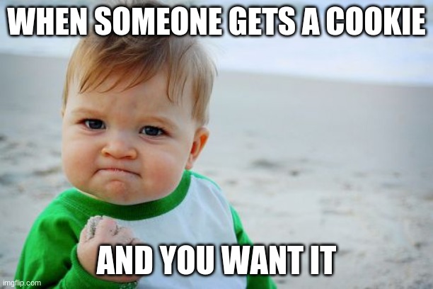 Success Kid Original Meme | WHEN SOMEONE GETS A COOKIE; AND YOU WANT IT | image tagged in memes,success kid original | made w/ Imgflip meme maker