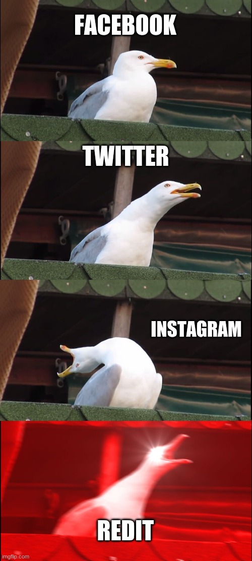 Inhaling Seagull Meme | FACEBOOK; TWITTER; INSTAGRAM; REDIT | image tagged in memes,inhaling seagull | made w/ Imgflip meme maker