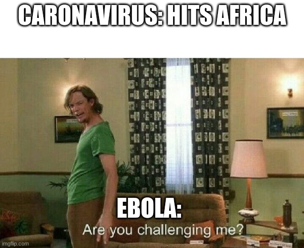 Carona vs Ebola | CARONAVIRUS: HITS AFRICA; EBOLA: | image tagged in are you challenging me | made w/ Imgflip meme maker