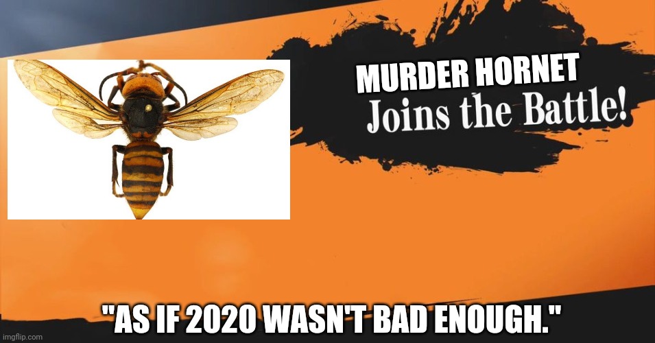 Murder Hornets are Coronavirus' echo fighter. | MURDER HORNET; "AS IF 2020 WASN'T BAD ENOUGH." | image tagged in smash bros | made w/ Imgflip meme maker