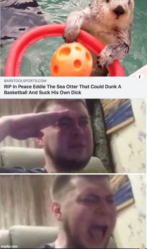 A true legend | image tagged in crying salute,memes,funny,press f to pay respects,otter | made w/ Imgflip meme maker