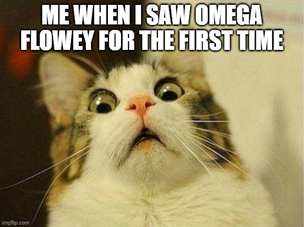 Scared Cat | ME WHEN I SAW OMEGA FLOWEY FOR THE FIRST TIME | image tagged in memes,scared cat,undertale,funny memes,reactions,omega flowey | made w/ Imgflip meme maker