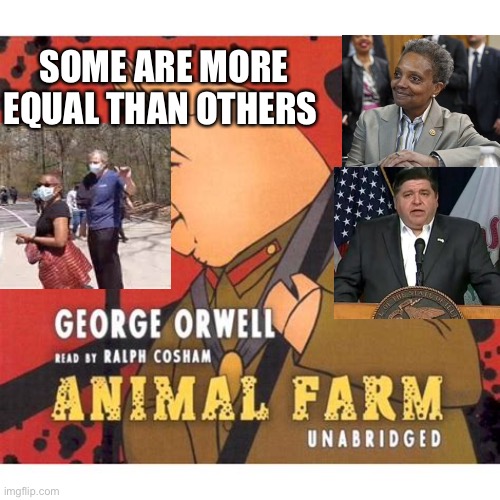 Some Democrats are more equal | SOME ARE MORE EQUAL THAN OTHERS | image tagged in george orwell,equality,hypocrite,democrats | made w/ Imgflip meme maker