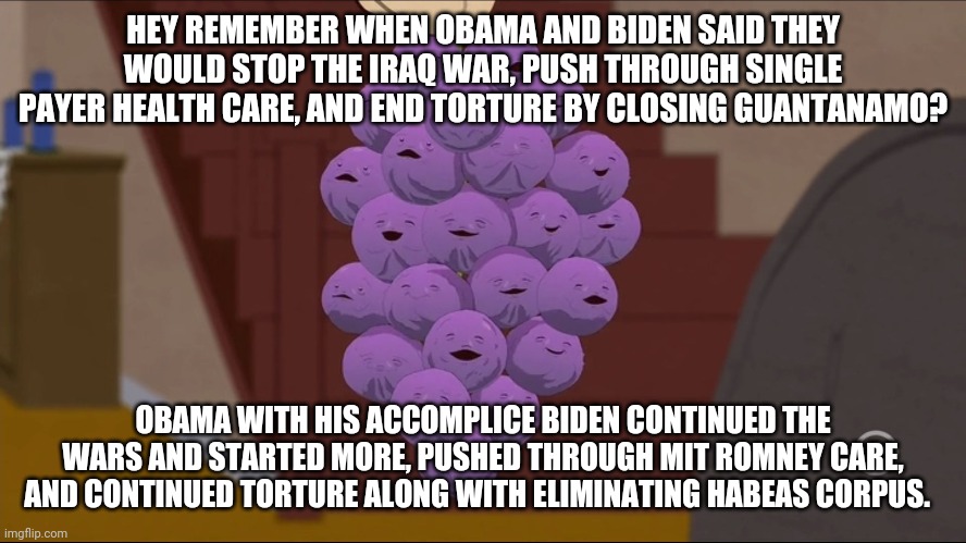 We've already had 8 years of biden! | HEY REMEMBER WHEN OBAMA AND BIDEN SAID THEY WOULD STOP THE IRAQ WAR, PUSH THROUGH SINGLE PAYER HEALTH CARE, AND END TORTURE BY CLOSING GUANTANAMO? OBAMA WITH HIS ACCOMPLICE BIDEN CONTINUED THE WARS AND STARTED MORE, PUSHED THROUGH MIT ROMNEY CARE, AND CONTINUED TORTURE ALONG WITH ELIMINATING HABEAS CORPUS. | image tagged in memes,member berries | made w/ Imgflip meme maker