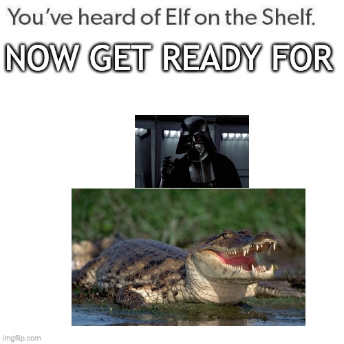 darth vader on an alligator | NOW GET READY FOR | image tagged in elf on a shelf | made w/ Imgflip meme maker