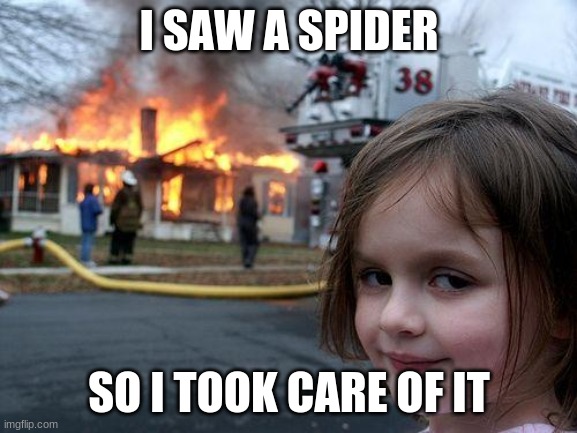 Disaster Girl Meme | I SAW A SPIDER; SO I TOOK CARE OF IT | image tagged in memes,disaster girl | made w/ Imgflip meme maker