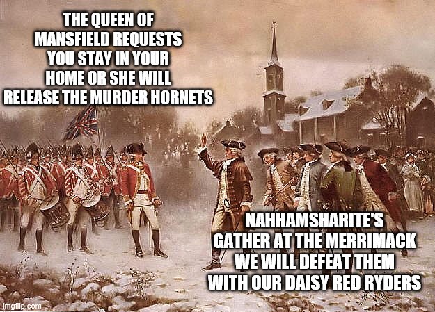 Redcoats vs Patriots | THE QUEEN OF MANSFIELD REQUESTS YOU STAY IN YOUR HOME OR SHE WILL RELEASE THE MURDER HORNETS; NAHHAMSHARITE'S GATHER AT THE MERRIMACK WE WILL DEFEAT THEM WITH OUR DAISY RED RYDERS | image tagged in redcoats vs patriots | made w/ Imgflip meme maker