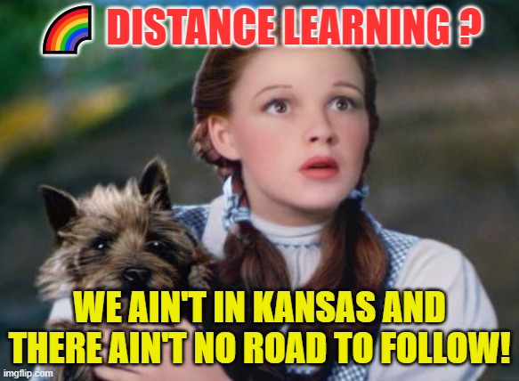 Distance Learning | 🌈 DISTANCE LEARNING ? WE AIN'T IN KANSAS AND THERE AIN'T NO ROAD TO FOLLOW! | image tagged in toto wizard of oz | made w/ Imgflip meme maker