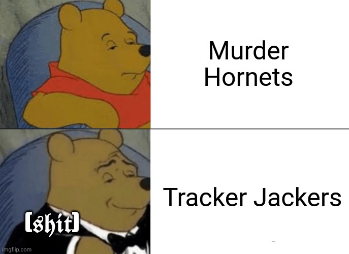 2020 need to wrap it up | Murder Hornets; Tracker Jackers; (𝖘𝖍𝖎𝖙) | image tagged in memes,tuxedo winnie the pooh | made w/ Imgflip meme maker