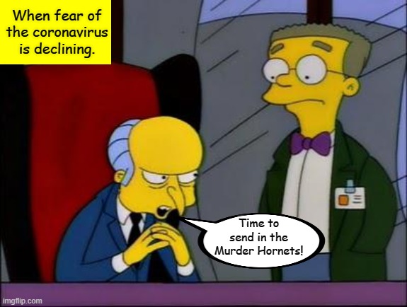 Mr burns smithers | When fear of the coronavirus is declining. Time to send in the Murder Hornets! | image tagged in mr burns smithers,memes,murder hornets,covid-19,coronavirus | made w/ Imgflip meme maker